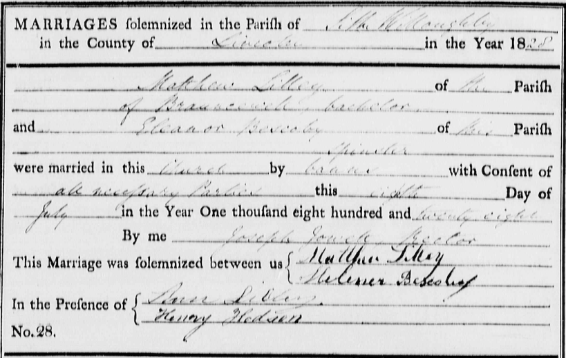 Screen Shot 2019-03-12 at 9.11.42 PM