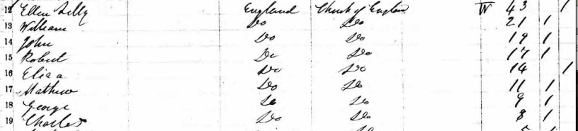 Screen Shot 2019-03-13 at 6.54.51 PM